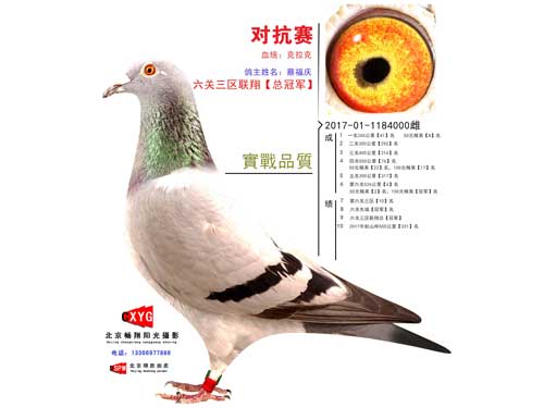 �������ˡ�����ն���������������ظ����ܹھ�����