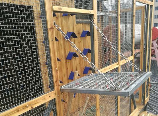 ��������ｨ��ʵ �����ǳ��