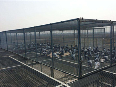 ����������һ�ס��������������ʹ���н���