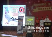 ������������Ƶ��Ŀ���Ĵ�����ǰʮ�������ֻ񽱸������ſ�