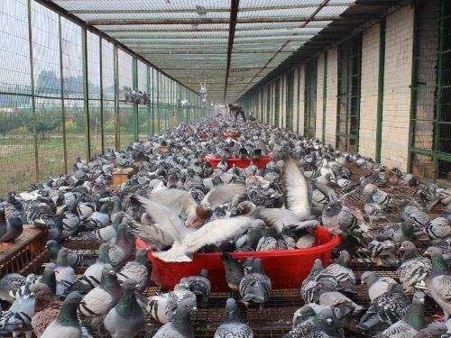 ǳ��ѡ��ʲô���Ĺ���ȥ������