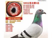 ���깫��ʵս���� ���½�����������