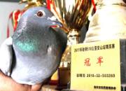 �¾������ˣ�����ھ��뱳��Ĺ���