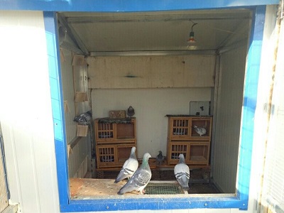 ������� ���λ�����ָ��