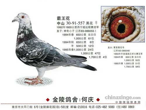 1998���й����Ҵ�����Ʒ��