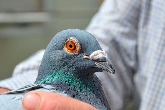 ����ʱ�Ǿ��٢��о������ھ����� ���߷������ȿ�