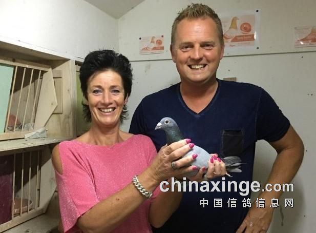 ŷ�ް��ó�������������� �����ھ����ȿ�