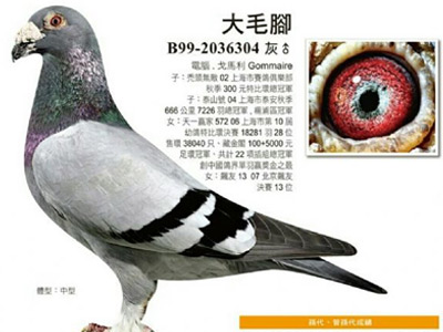 �й��������� ����ʶ������