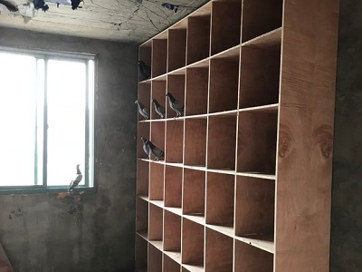 340Ԫ���Ƹ��� �����������