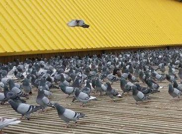 ���Ļƺӹ��ｨ�������ո��Ĵ�������