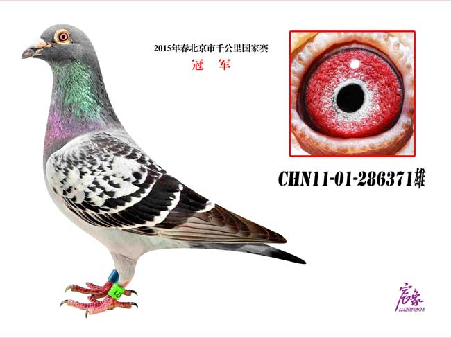 ÿ��һ�룺������ɰ������ǧ����ھ�