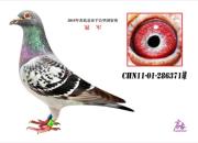 ÿ��һ�룺������ɰ������ǧ����ھ�