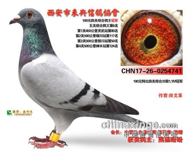 ���ĸ���ӱ�����ȥ�������⣨ͼ��