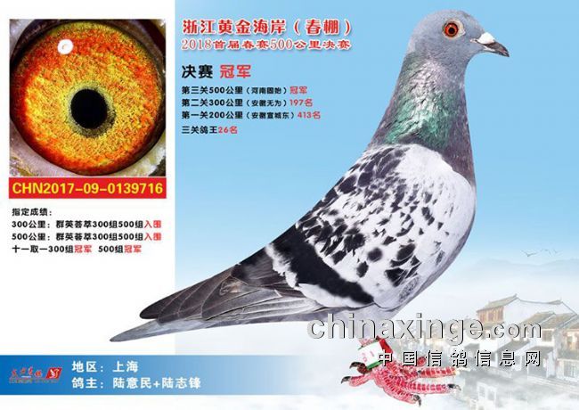 �㽭�ƽ𺣰��������������ξ�ѡ