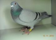 ����������ݶܡ���ͼ��