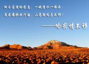 �ٿƳ�֪ʶ���й���Զ��������֪����