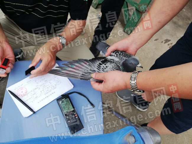 ڵȵ㣡ϺԶ2000ڶ鳲