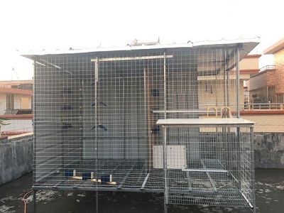 �������ڴ���� �������������