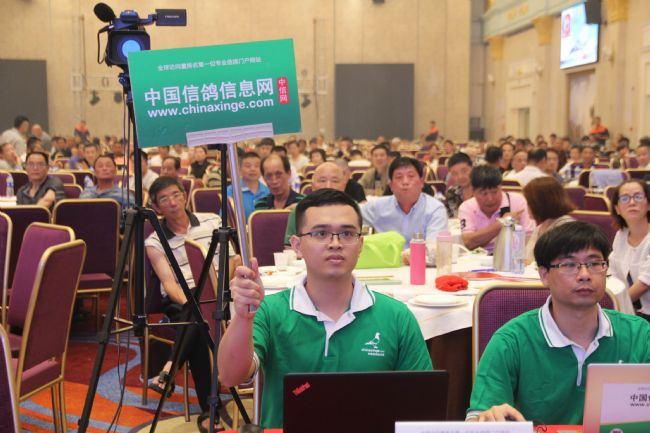 �ƽ𺣰��������������������������׷��