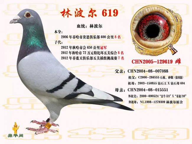 ��ʱ�������ᷢչ�ı�Ȼ����