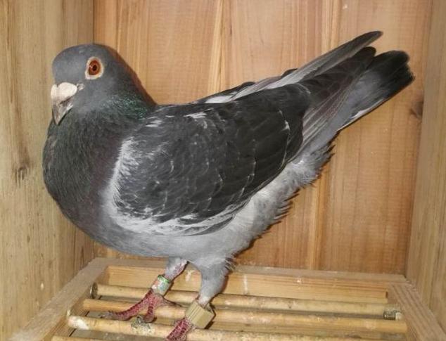 �������Ÿ�ļ�ֵ����