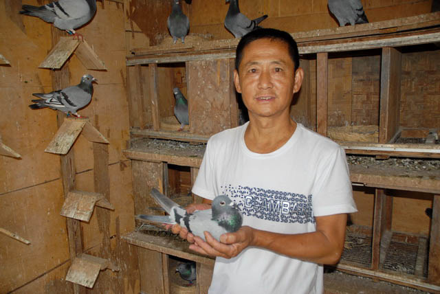 �ɶ�ǧ���ﵱ�չ�ھ����������Ž��У�ͼ��