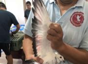 ����ˮׯְҵ�����ڶ����׼���� �����91%