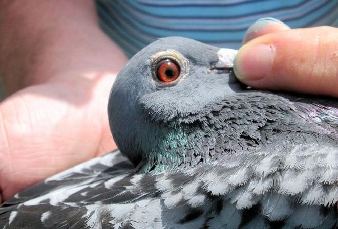 ����ʱ�����΢�����������չ� �ھ����һ��