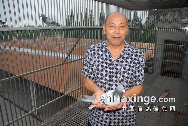 �Ĵ��ɶ�ǧ���ﵱ�չ������ʧ���������ռǣ�ͼ��