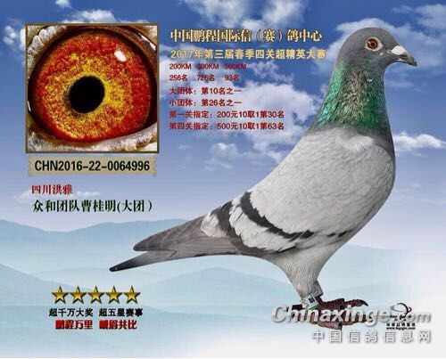 ר�����̹��ʵĳ�ʤ���������ܹ�������