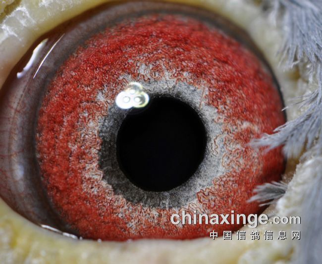 һ����Ʒϵ����ͼƬ��ͼ��