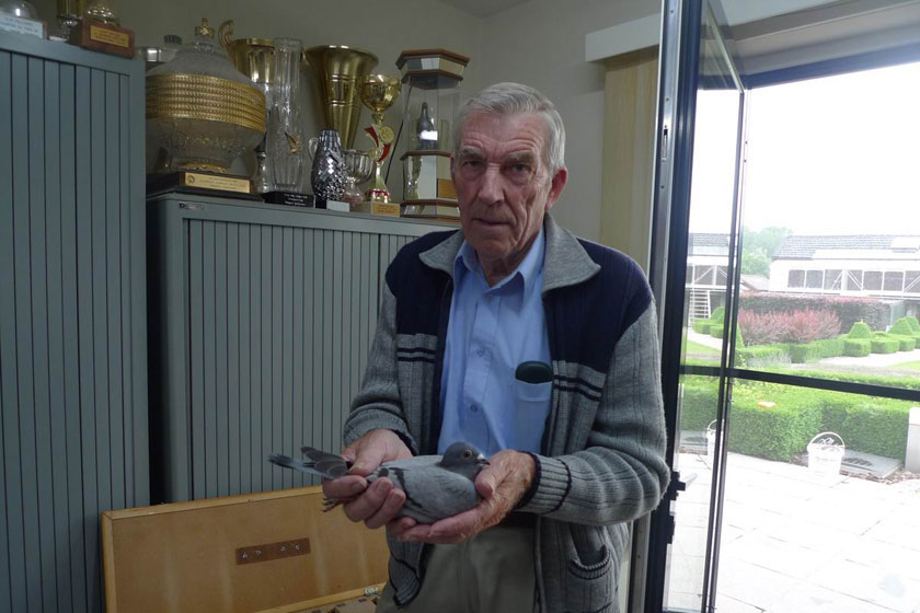 Ļ���ţ�Ψһ���ղɭ��ʵս��ϵ