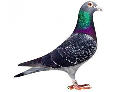 ÿ��һ�룺����������˵ġ��ڽ�