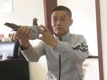 ˭Ҳ������Զ�õ�һ���ý��ƽ����ι�