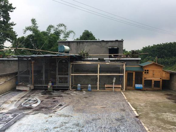 ����ר�������һ�����(ͼ)