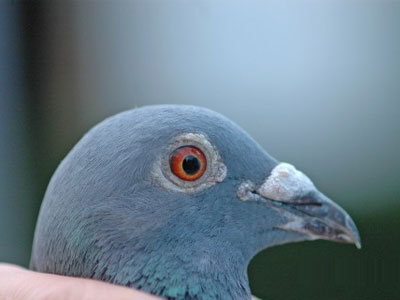 ����ʱ������700������� ª��ɳ�ȫ���ھ�