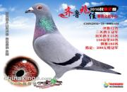�ǻ۴���