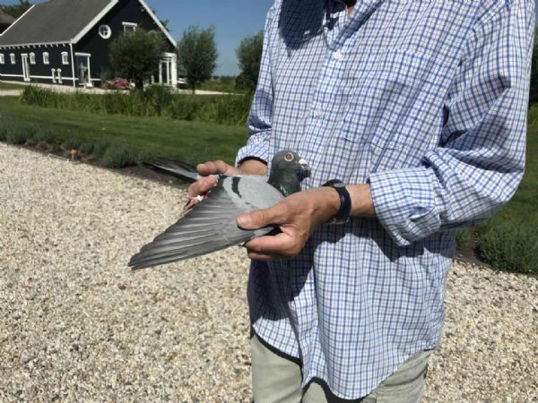 14741�𡰰��׷������� ��ƿ�˫��ǰ��