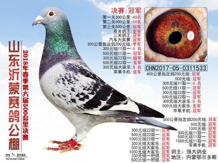 ϸ�彭�� ��³ս�� ���ϲ�����ֻ��磿