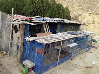 ���ϱ���� �����������깤