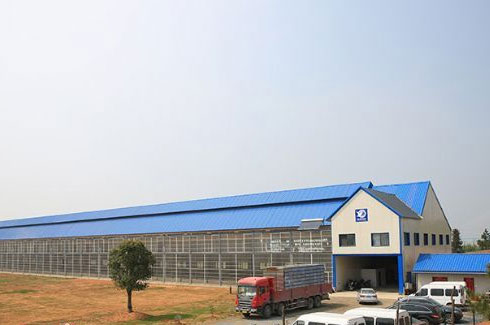 ���괺�� ����һ��ȥ��ɫ���崺�￴����