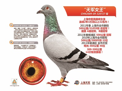 ÿ��һ�룺�Ϻ��о����۷塰���Ů����