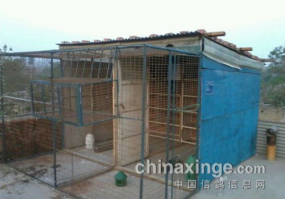 215Ԫ��������ƽ�񼶸��ᣡ