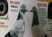  �������뽡������Ҫ��
