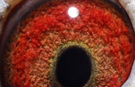 4��˴��Ŷ������罱�뼰�������ͣ�