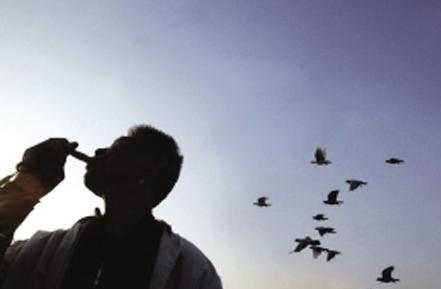 ����ʫ�ģ����롰���