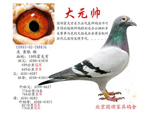 ÿ��һ�룺����������ӵġ���Ԫ˧��