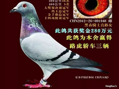 ��С���� ��һ�δ���Ͷ��