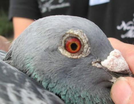 ����ʱͼ��9491��ھ����� ���ٸߴ�1694