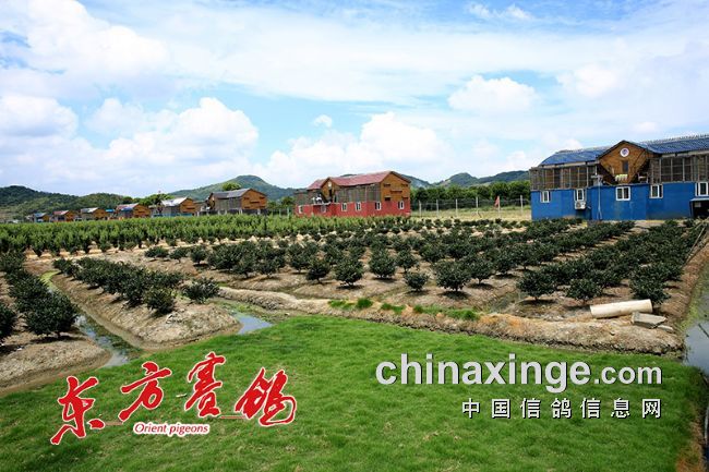 ����һ��2018���Ĺظ�����ָ����л������